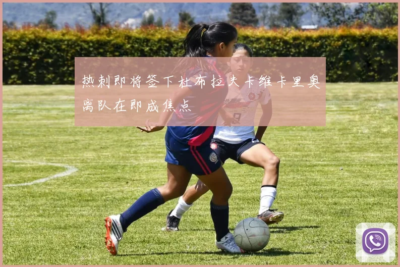 热刺即将签下杜布拉夫卡维卡里奥离队在即成焦点